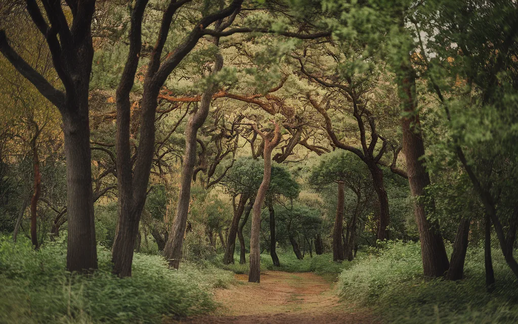 Forest vs Forrest